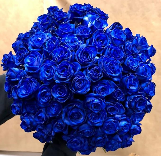 Blue Rose Seeds